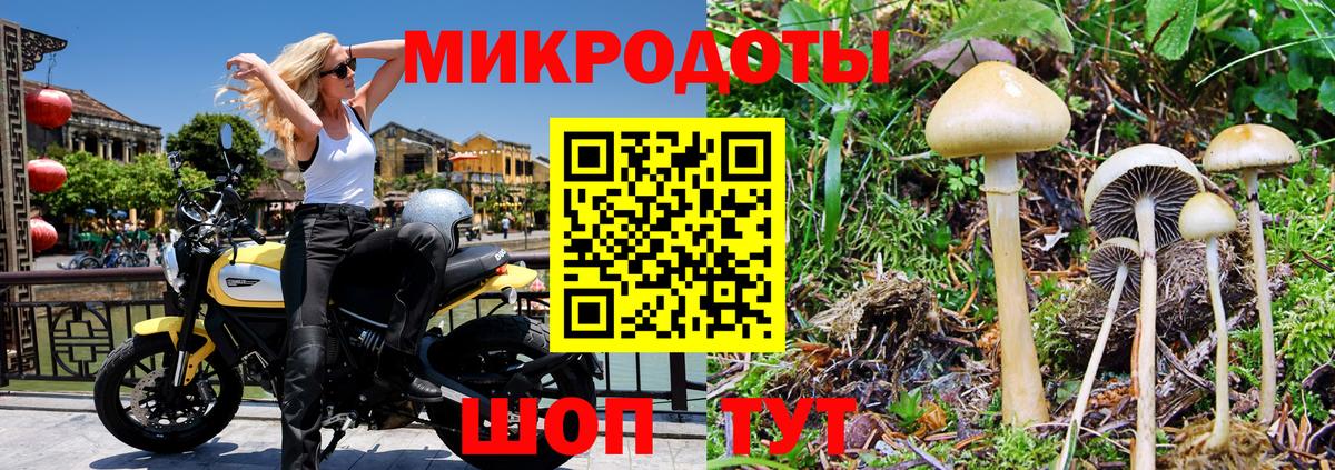 Будённовск  Галлюциногенные грибы ЛСД  Вход с VPN 