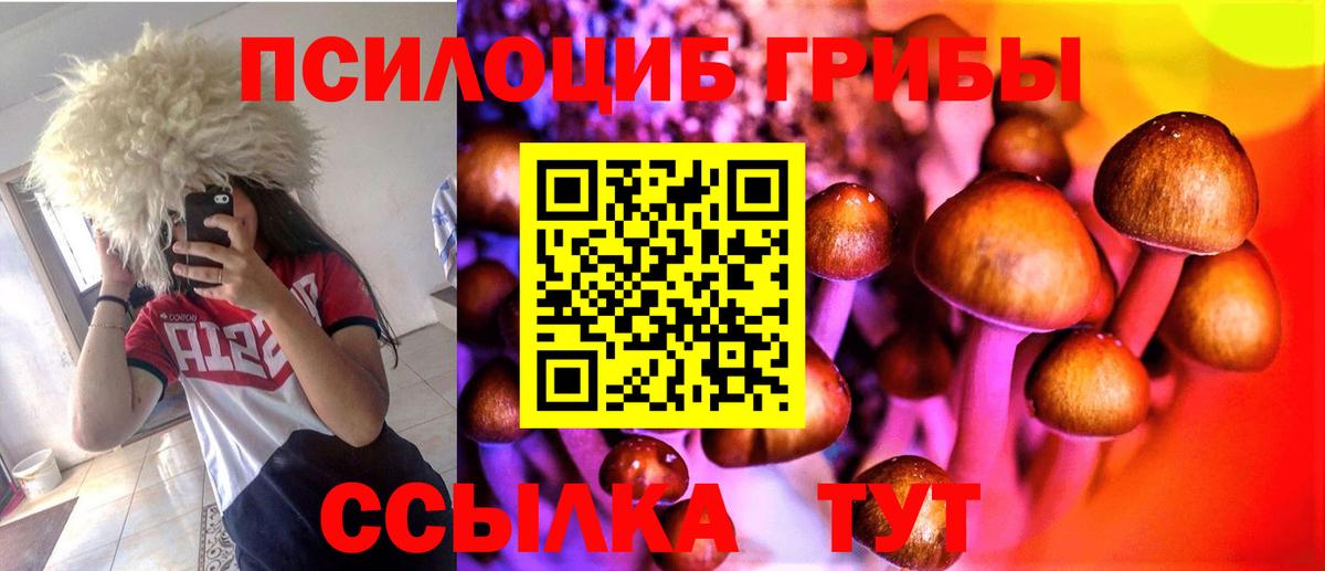 Псилоцибиновые грибы GOLDEN TEACHER Будённовск